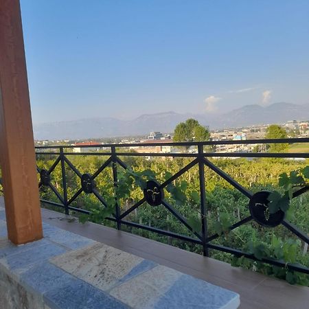 Vila Shehi Guesthouse And Winery Mucaj Kültér fotó