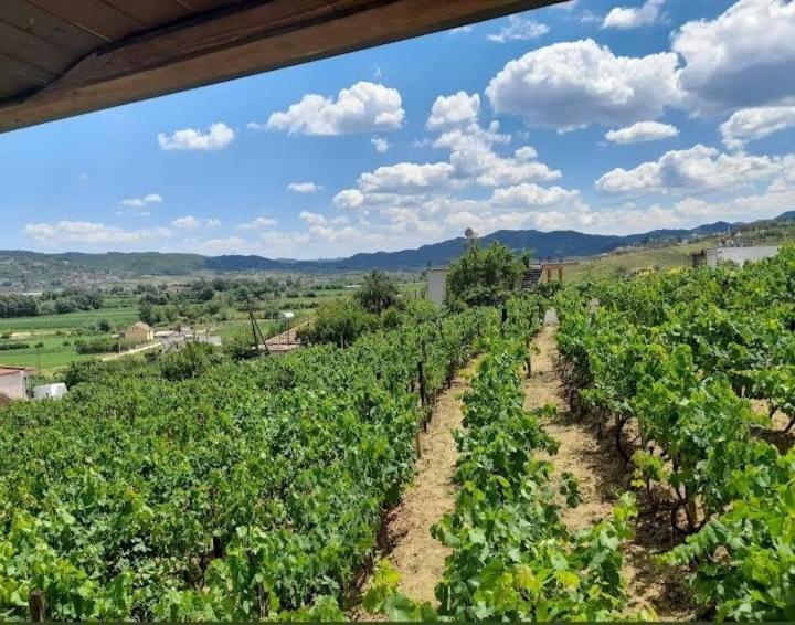 Vila Shehi Guesthouse And Winery Mucaj Kültér fotó